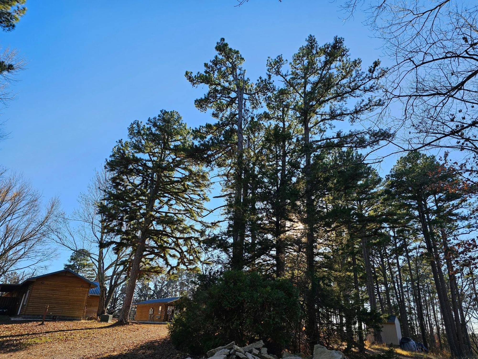 5 Min To Beaver Lake-King Bed-Fire Pit-Jetted Tub #3 Eureka Springs Ngoại thất bức ảnh