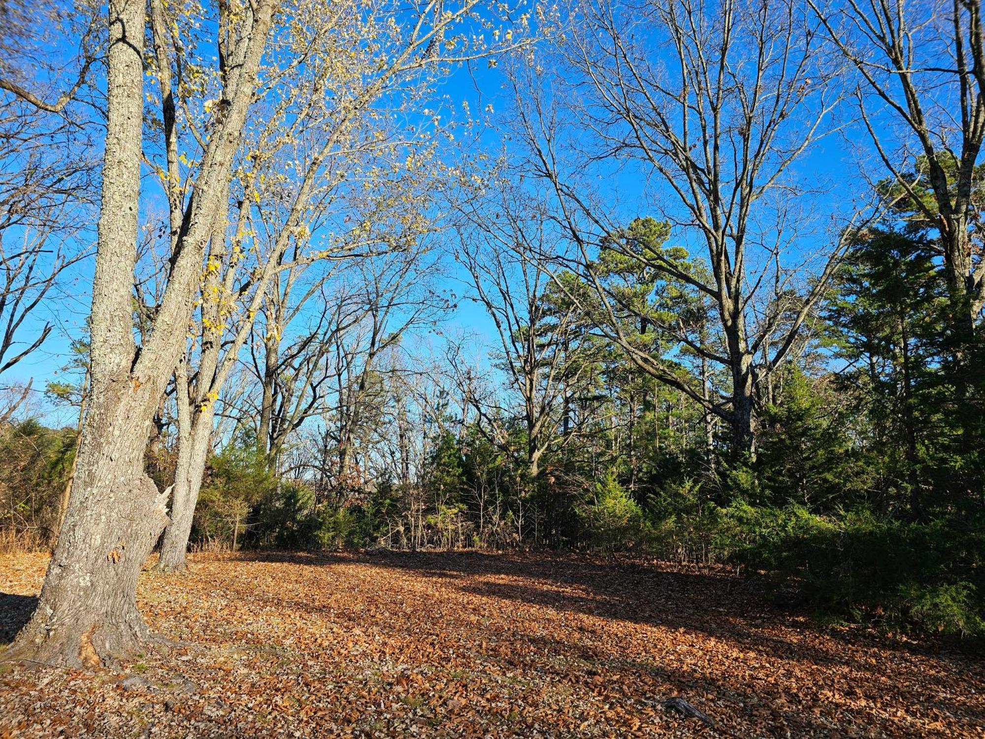 5 Min To Beaver Lake-King Bed-Fire Pit-Jetted Tub #3 Eureka Springs Ngoại thất bức ảnh